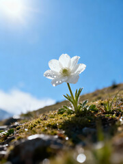 Peaceful Hill Scene with Glossy Flower