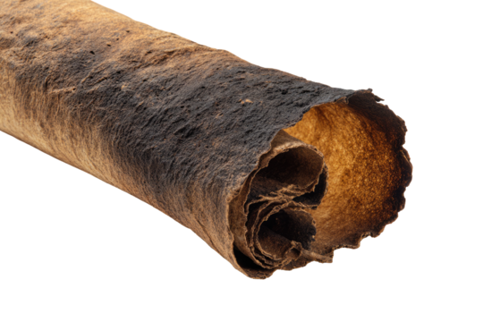 Close-up of a partially rolled, scorched, textured sheet with visible layers and an inner core