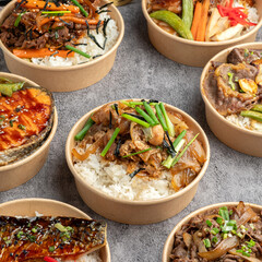 Japanese Rice Bowls Variety