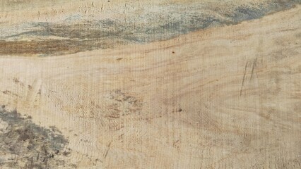 old wood texture. Top view of wood vein cut. light brown white textured tree trunk with veined inner surface. Close up of wood texture