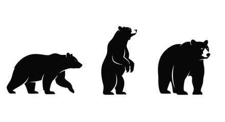 Illustrative black bears standing and walking wildlife art design
