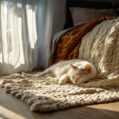 White Cat Sleeping Peacefully On A Textured Rug By A Sunlit Window With Cozy Bed In Background