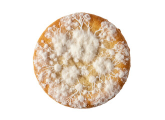 Moldy biscuit fuzzy mold white colony spoiled food single object