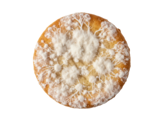 Moldy biscuit fuzzy mold white colony spoiled food single object