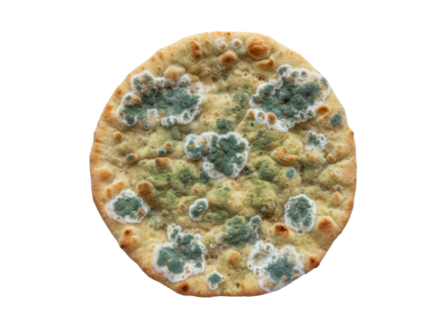 Moldy flatbread green mold spoiled food close up isolated