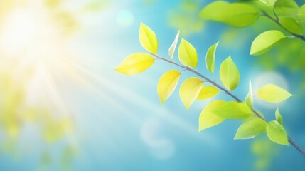 Fresh green leaves catch warm sunlight in a peaceful garden setting, evoking a sense of tranquility and renewal during the spring season.