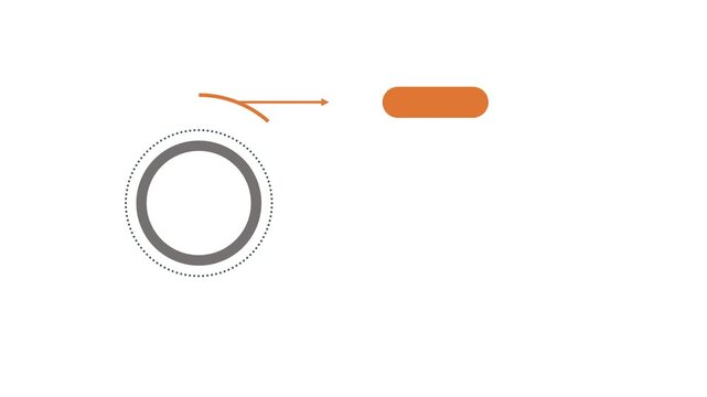 Minimal 4-step motion infographic illustrating workflow optimization, clear task progression, and strategic process visualization with clean design, smooth transitions, and modern professional style.