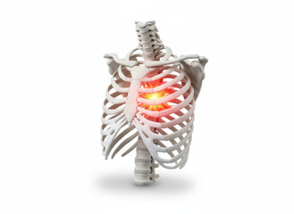 Rib cage, skeleton, chest, anatomy, body pain glows inside with urgent focus