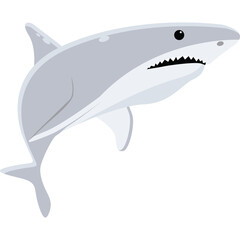 Gray and White Shark Illustration With Sharp Teeth and Dark Eye Set Against Transparent Background