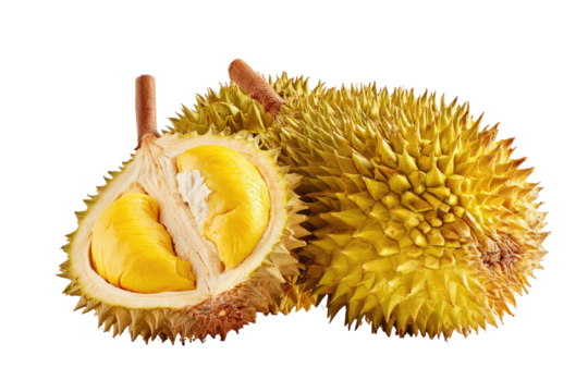 A spiky fruit, partially opened to reveal creamy yellow flesh, placed beside the whole fruit