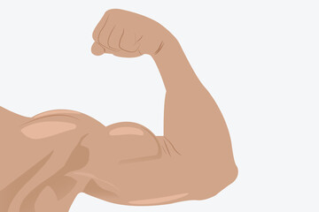 Strong flexed arm showing defined bicep muscle in a simple vector illustration. eps 10