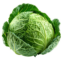 Obraz premium Fresh Savoy Cabbage Isolated, Transparent Background