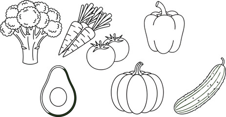 Fruit and vegetable line drawing set, broccoli carrot tomato avocado pepper sketch, healthy food art, cad drawing flat vector illustration