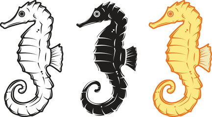 Seahorse Vector Illustration With Three Set, silhouette, outline and colored 