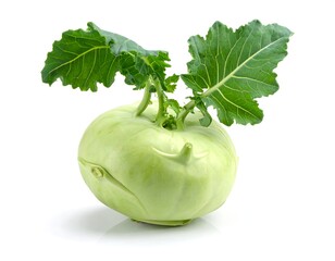 Close-up of a kohlrabi vegetable with vibrant green leaves