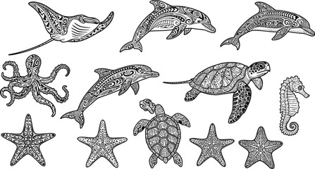 Intricate sea animal illustration, decorative marine creatures, black and white ocean wildlife, tribal style vector, cad drawing flat vector illustration