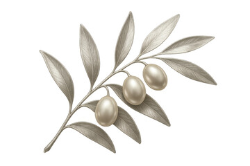 Obraz premium Olive branch with fruit providing peace and wisdom, botanical drawing with transparent background