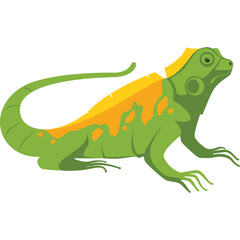 Green lizard with yellow orange crest detailed illustration isolated on white background with transparent background studio lighting