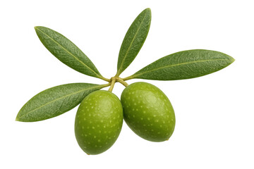 Fresh green olives on a branch with leaves, representing health, organic food, and mediterranean diet on transparent background