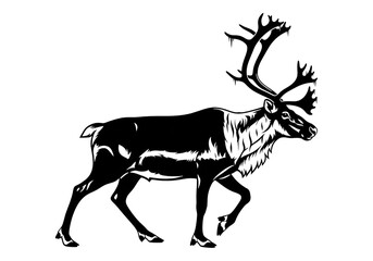 Fototapeta premium Reindeer Walking Antlers Silhouette Black Vector SVG