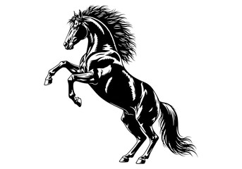 Rearing Horse Silhouette Black Vector SVG