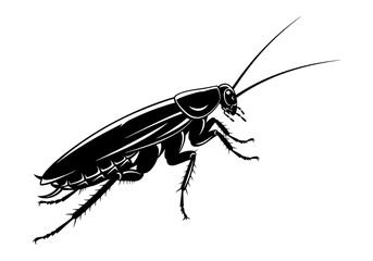 Cockroach Silhouette Black Vector SVG