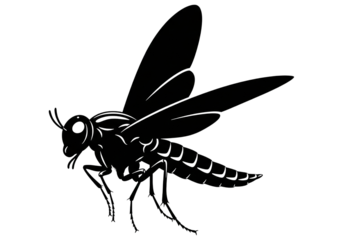 Flying Ant Silhouette Black Vector SVG