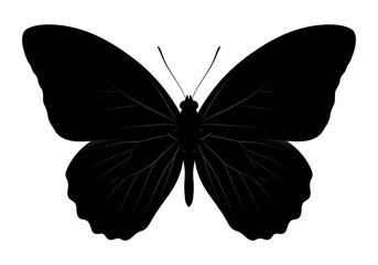 Butterfly Silhouette Black Vector SVG