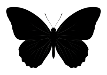 Butterfly Silhouette Black Vector SVG