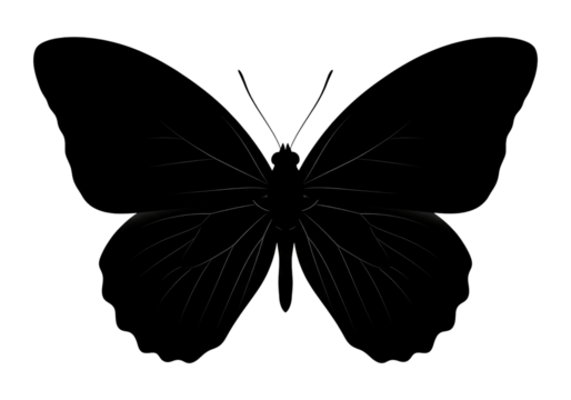 Butterfly Silhouette Black Vector SVG