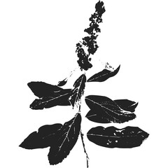 Botanical illustration of a black leafy plant silhouette isolated on white with detailed foliage and stem elements creating a striking graphic design perfect for natural themes and organic concepts.