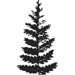 Black Silhouette Of A Tall Evergreen Tree With Dense Needles On A White Background No Animals Present No Faces Visible No Defects Found