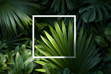 Tropical jungle leaves background with white square frame