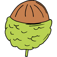 Hand Drawn Acorn Icon With Green Cap and Brown Seed Isolated On Transparent Background