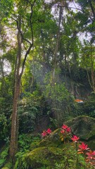 Lush green forest scene with tall trees, vibrant red flowers, and mossy rocks. Sunlight filters through the dense canopy.