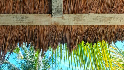 A close-up of a thatched roof with palm trees visible underneath, capturing a tropical Bali scene.