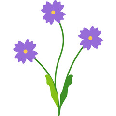 Aesthetic Flower Bouquet