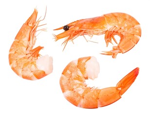 Close-up of three cooked shrimp on white background