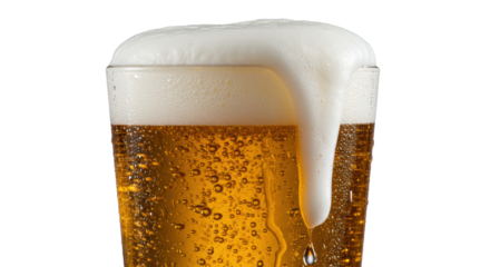 Vibrant golden lager beer in sleek glass, bubbles ascending, thick creamy foam overflowing, dewy condensation, water droplet trailing, transparent background. Concept for beverage advertising