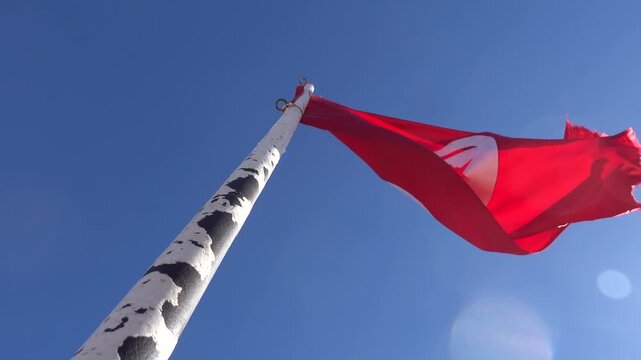 Monastir, Tunisia A red Tunisian flag flutters in the wind on a flagpole against a blue sky.