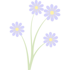 Aesthetic Flower Bouquet