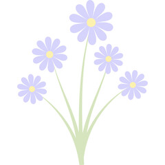 Aesthetic Flower Bouquet