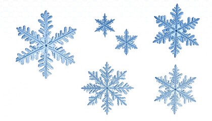 Delicate Blue Snowflake Collection on White Background.