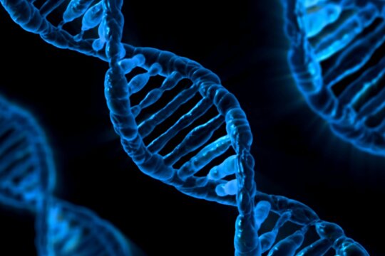 Biochemistry and Bio Molecul Background 