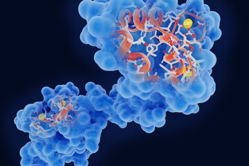 Biochemistry and Bio Molecul Background 