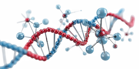 DNA molecule spiral. 3d illustration deoxyribonucleic acid, gene, spiral, genetic, reproduction, strand, molecular