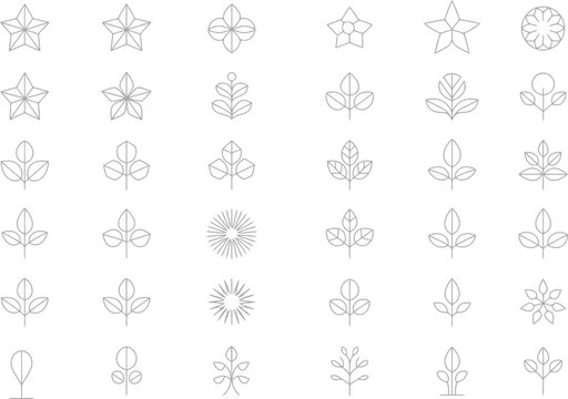 Elegant botanical and star icons for modern logo design and branding elements