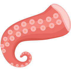 Illustration of a pink octopus tentacle curled with suction cups on a transparent background