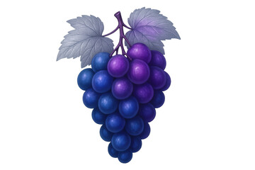 Fototapeta premium Vibrant grapes presenting a mix of blue and purple hues, with green leaves and stem, on a transparent background for versatile use