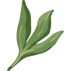 A Delicate Green Leaf Plant Sprout Detailed Illustration Against a Transparent Background